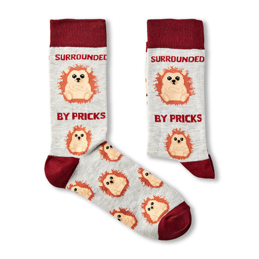 The Gift Pod | Morpeth | Novelty Socks | Surrounded by Pricks | Hedgehog Socks